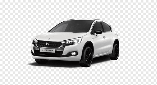 DS 4